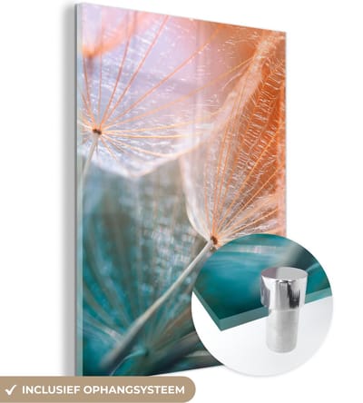 MuchoWow® Glasschilderij 30x40 cm - Schilderij acrylglas - Bloem - Paardenbloem - Plant - Foto op glas - Schilderijen