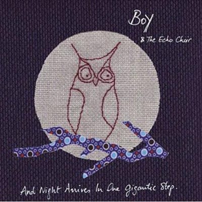 Boy & The Echo Choir - And Night Arrives In One Gigantic Step (CD)
