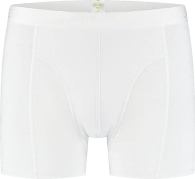 Boru Bamboo - Boxershort - Wit - XL - Heren Ondergoed - Anti-Bacterieel - Ademend - Anti-Zweet - 105