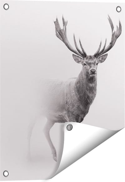 Gards Tuinposter Hert - Zwart Wit - 40x50 cm - Tuindoek - Tuindecoratie - Wanddecoratie buiten - Tuinschilderij