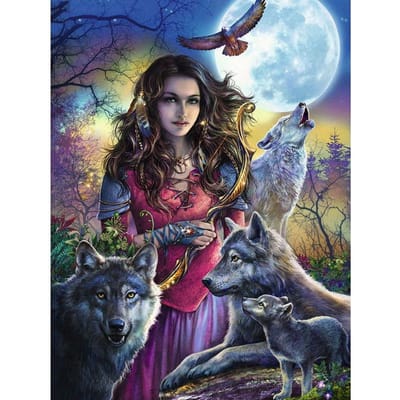 Diamant artisanat peinture loup et beauté bricolage diamant broderie artisanat peinture Animal diamant Art mural 20X30CM gray