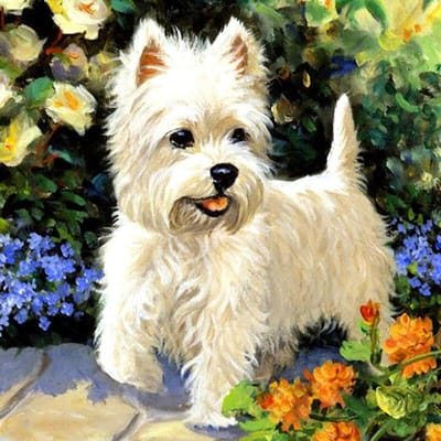 Diamant borduurwerk verkoop bloem puppy diamant mozaïek diamant schilderij volledige weergave ronde steentjes 30x30CM white