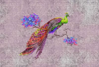 Fotobehang peacock 2 DD114312 Livingwalls Walls by Patel | 3D Fotobehang