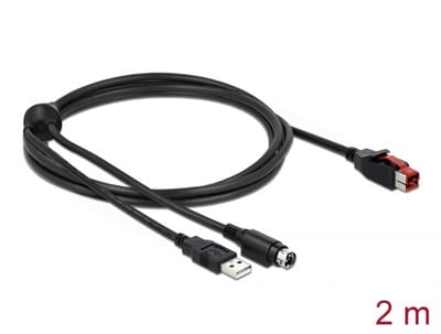 Delock PoweredUSB cable male 24 V to USB Type-A male + Mini-DIN 3 pin male 2 m for POS printers and terminals