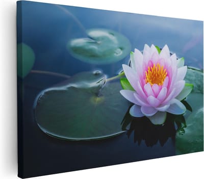 Artaza Canvas Schilderij Lotusbloem - 30x20 cm - Klein - Muurdecoratie Botanisch - Wanddecoratie Vijver - Kamer Accessoires