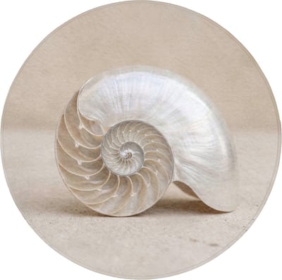 Badmat rond 70x70 cm - Antislip - Schelp - Spiraal - Beige - Badmatten voor badkamer - Badkamermat - Douchemat - Ronde badkamer mat
