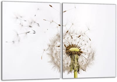TMK ArtDeko Serie - Glasbeschermplaat voor Kookplaat - 40x52 cm - Bloemenmotief