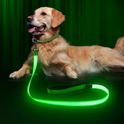 hondenriem- honden riem- LED-hondenriem - 120 cm lichtgevende hondenriem - USB-oplaadbaar en waterdicht - Reflecterende nylon riem met gevoerde handgreep - Veilige lichtgevende huisdierlamp voor grote, middelgrote en kleine huisdieren (groente)