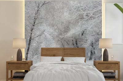 Behang - Fotobehang Bomen - Sneeuw - Winter - Breedte 220 cm x hoogte 220 cm