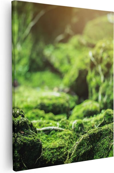 Artaza Canvas Schilderij Bos - 40x50 cm - Wanddecoratie Mos - Muurdecoratie Landschap - Kamer Accessoires