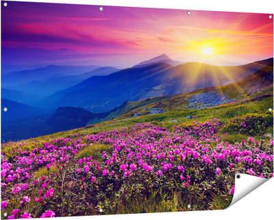 Gards Tuinposter Roze Rhododendron Bloemenveld - Bergen - 150x100 cm - Tuindoek - Tuindecoratie - Wanddecoratie buiten - Tuinschilderij