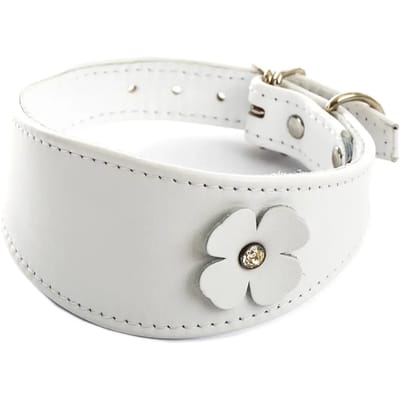 Hondenhalsband Sellerie Canine Vendéenne Lev Tref