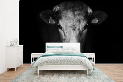 Behang - Fotobehang Dieren - Koe - Zwart - Wit - Koeienkop - Breedte 400 cm x hoogte 240 cm