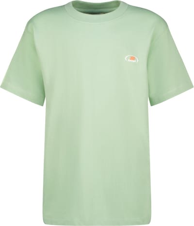 Raizzed - Nashew T-shirt jongens - Soft green - Maat 140