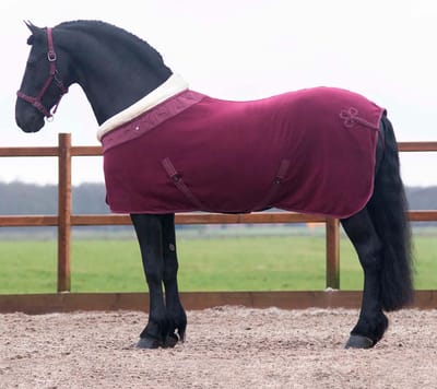 Qhp Deken Qhp Lily Donkerrood