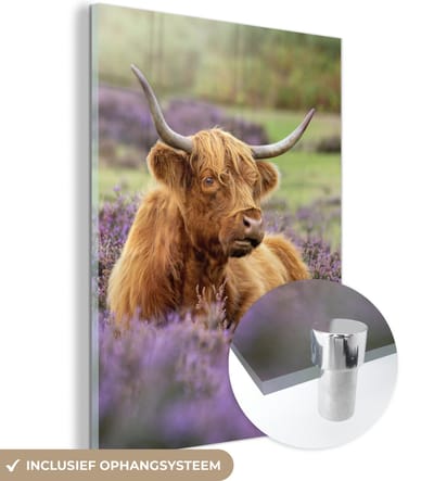 MuchoWow® Glasschilderij 120x160 cm - Schilderij acrylglas - Schotse Hooglander - Bruin - Struiken - Foto op glas - Schilderijen