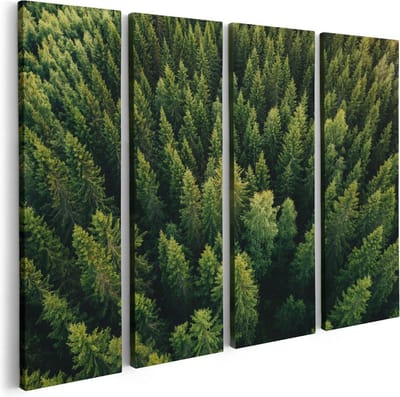 Artaza Canvas Schilderij Vierluik Bos Met Bomen Vanaf Boven - 80x60 - Foto Op Canvas - Canvas Print