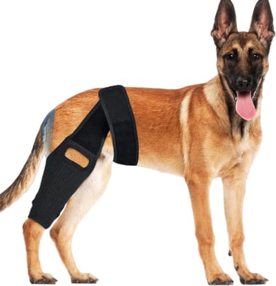 Kniebrace voor honden ter ondersteuning van ACL, CCL en MCL