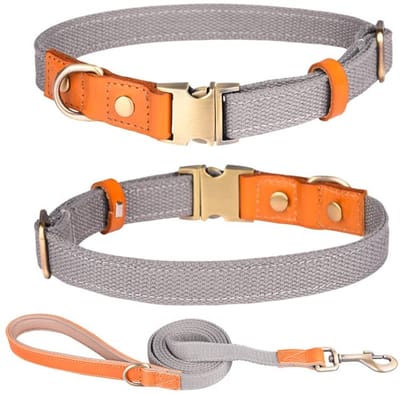 Dailygoods- Halsband Verstelbaar - Hondenriem 1,5 cm x 150 cm - Nylon Leer - Veiligheidsgesp Roestvrij Staal - Ademend en Lichtgewicht