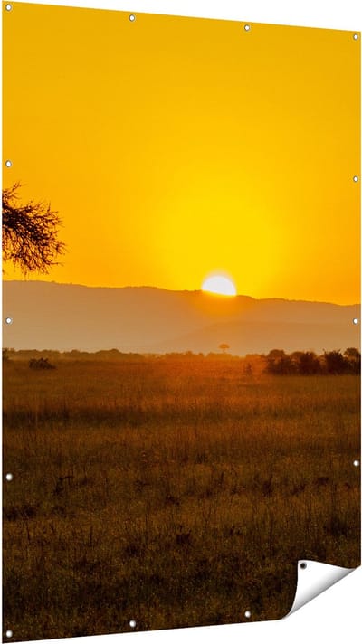 Gards Tuinposter Zonsopgang in de Savanne met een Boom - 120x180 cm - Tuindoek - Tuindecoratie - Wanddecoratie buiten - Tuinschilderij