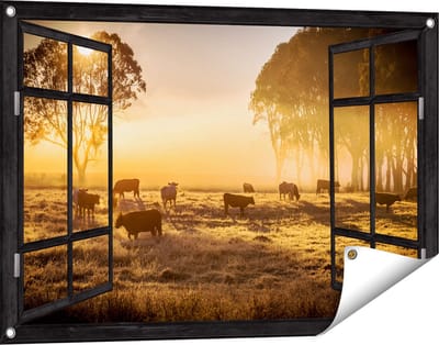 Gards Tuinposter Doorkijk Kudde Koeien in de Wei met Zonsopkomst - 90x60 cm - Tuindoek - Tuindecoratie - Wanddecoratie buiten - Tuinschilderij