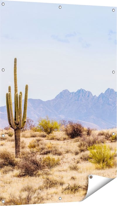 Gards Tuinposter Cactussen in de Woestijn - 80x120 cm - Tuindoek - Tuindecoratie - Wanddecoratie buiten - Tuinschilderij