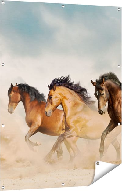 Gards Tuinposter Drie Bruine Paarden - 90x120 cm - Tuindoek - Tuindecoratie - Wanddecoratie buiten - Tuinschilderij