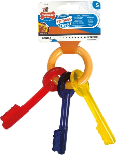 Nylabone Puppy Teething Key Flexible Geel&Blauw&Rood - Hondenspeelgoed - Small Tot 11kg