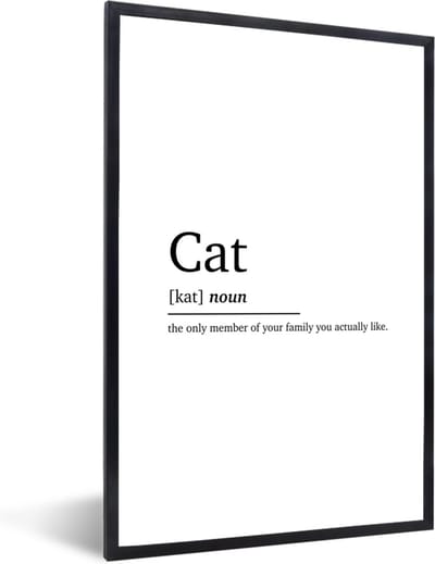 Fotolijst incl. Poster - Quotes - Kat definitie - Cat - Spreuken - Woordenboek - 40x60 cm - Posterlijst