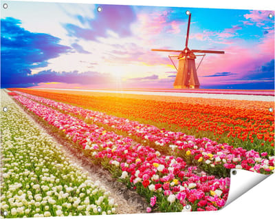 Gards Tuinposter Kleurrijke Bloemenveld met een Windmolen - 120x80 cm - Tuindoek - Tuindecoratie - Wanddecoratie buiten - Tuinschilderij