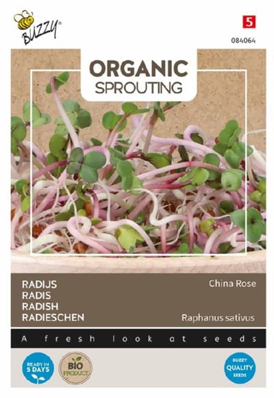 Buzzy - Seeds sprouting radijs china rose 30 gram
