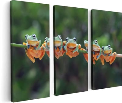 Artaza Canvas Schilderij Drieluik Groep Kikkers op een Tak - 120x80 - Foto Op Canvas - Canvas Print