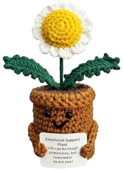 Madeliefjes Cadeaus voor Vrouwen en Mannen, Emotionele Steunplant voor Kerst en Beterschap