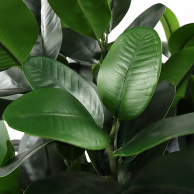 Kunstplant / Kunstboom GARCINIA Mangostan 120 cm groen hjh OFFICE