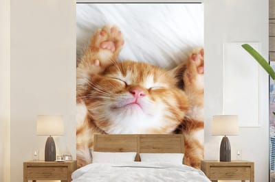Behang - Fotobehang Kat - Rood - Huisdieren - Kitten - Breedte 180 cm x hoogte 280 cm
