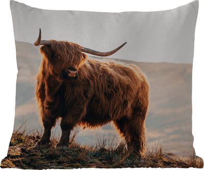 Sierkussen Buiten - Schotse hooglander - Dieren - Landelijk - Landschap - Koe - Natuur - 60x60 cm - Weerbestendig