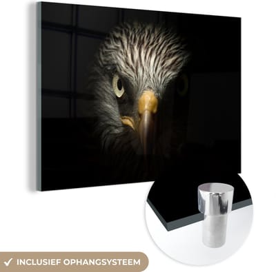 MuchoWow® Glasschilderij 150x100 cm - Schilderij acrylglas - Vogel - Adelaar - Roofvogels - Oog - Snavel - Licht - Foto op glas - Schilderijen