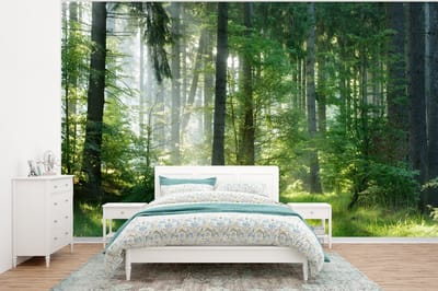 Behang - Fotobehang Natuur - Bomen - Bos - Groen - Zon - Gras - Planten - Breedte 400 cm x hoogte 300 cm