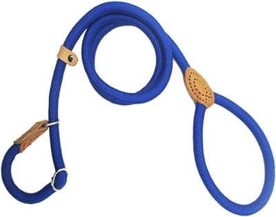 Intrekbare Hondenriem - Rollijn Hond - Veilig Wandelen - Schokabsorberend Touw - 140 cm - Multicolor