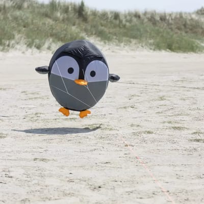Windzak HQ Bouncing Birdeez Penguin 60 cm 126320 Zwart 60 cm