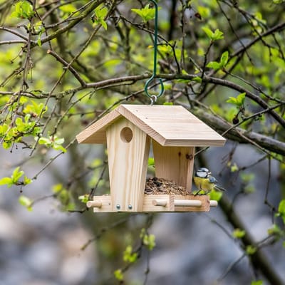 CJ Wildlife - Kids Bouwpakket voederhuis Jinto - Bruin - Hout - Vogelvoederplek