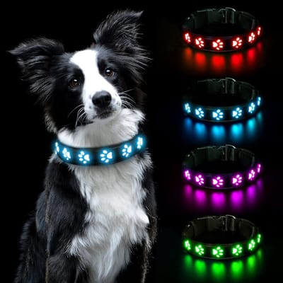 LED-Lichtgevende Halsband, Halsban Lichtgevende Halsd, USB Oplaadbaar, Waterdicht Voor Kleine, Middelgrote En Grote Huisdieren, Veiligheidshalsband Met 3 Verlichtingsmodi (Blauw-S)