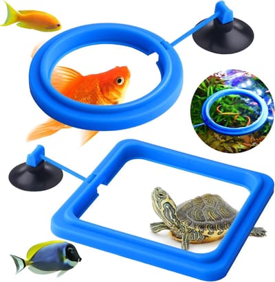 Dailygoods - Visvoederring Set van 2 voor Aquariumvissen en Schildpadden