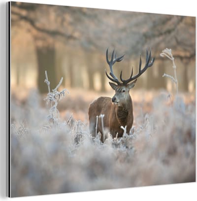 Aluminium schilderij 80x60 cm - Wanddecoratie metaal - Hert - Dieren - Winter - Metalen muurdecoratie woonkamer - Decoratie industrieel - Foto op dibond - Industriële accessoires slaapkamer