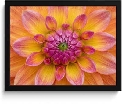 Poster in lijst - Fotolijst 40x30 cm - Posters - Dahlia - Bloem - Oranje - Posterlijst zwart - Decoratie - Wanddecoratie woonkamer - Muurdecoratie slaapkamer