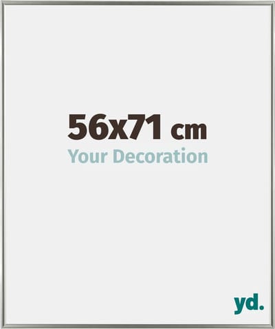 Your Decoration - Fotolijst 56x71 cm - Kunststof - Champagne - Evry