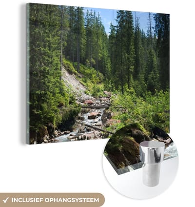 ® Glasschilderij 160x120 cm - Schilderij acrylglas - Hoge bossen bedekken de hellingen in het Nationaal Park Tatra in Polen - Foto op glas - Muurdecoratie woonkamer - Wanddecoratie slaapkamer - Schilderijen