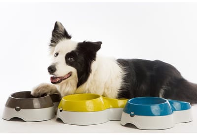 Bama Pet Voerderbak met Waterreservoir 44x27x12 cm Assorti