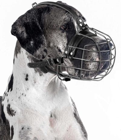 Hondenmuilkorf van metaal met leren banden voor grote honden zoals Pit Bull, Rottweiler en Duitse Dog - Ademend, verstelbaar en veilig ontwerp voor optimale comfort en controle