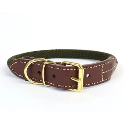 Duvoplus - Halsband Voor Dieren - Hond - Explor Forest Halsband Nylon M - 47-51cm/8mm Groen - 1st